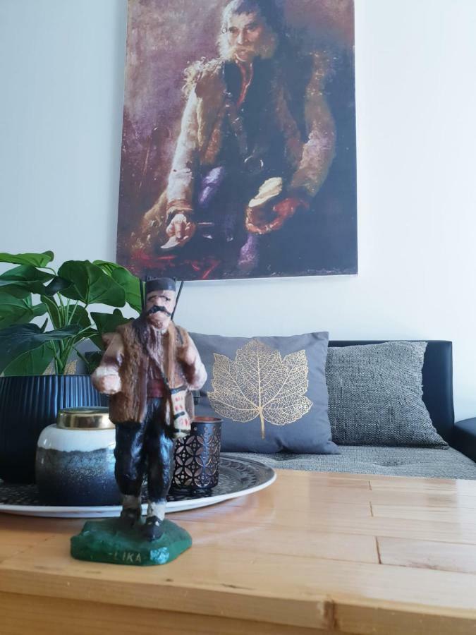 Apartmani Andrej Udbina Esterno foto